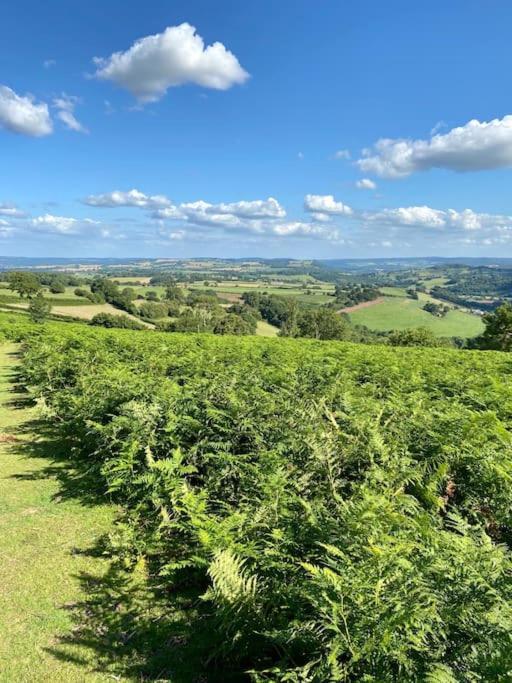 The Mill Stylish Rural Apartment With Beautiful Views Welsh Newton Common Exterior foto